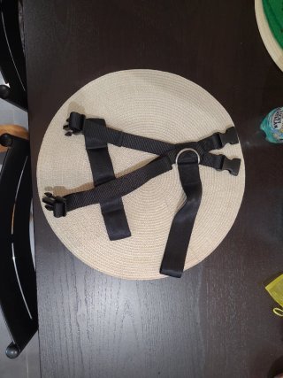 Cinturón para mascotas ajustable