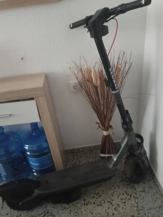 Patinete eléctrico Segway