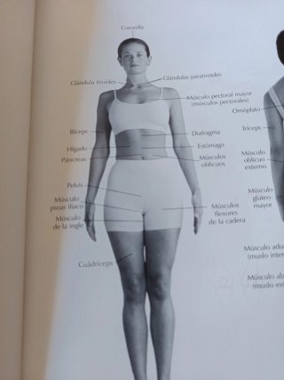 El libro del yoga y de la salud para la mujer G...