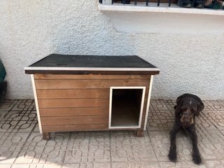 Caseta para perros de madera
