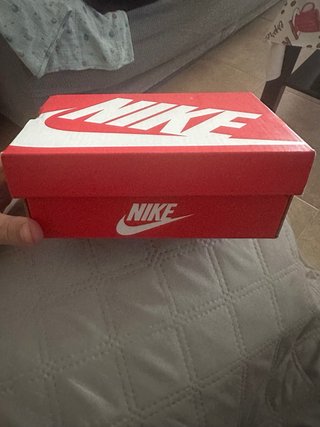 Zapatillas Nike Dunk Low Bebé talla 17