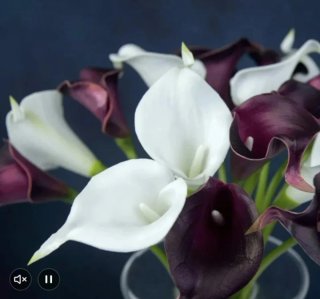 20 Flores Artificiales Calla Lirio Morado