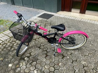 Bicicleta infantil 20 pulgadas