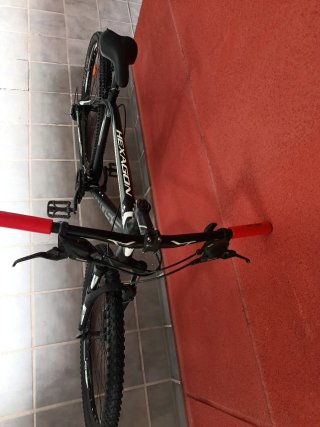 Bici 29"