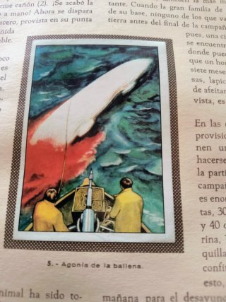 Álbum Cromos Maravillas Universo Nestlé