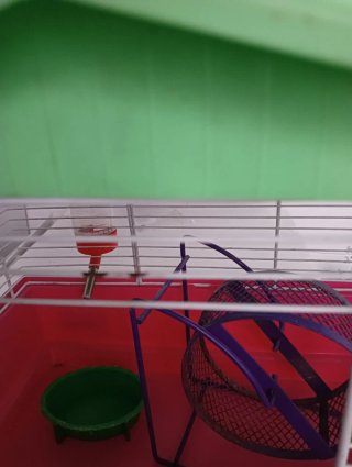 Jaula para hámster con accesorios