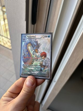 Combo Charizard notte e Gyarados EX