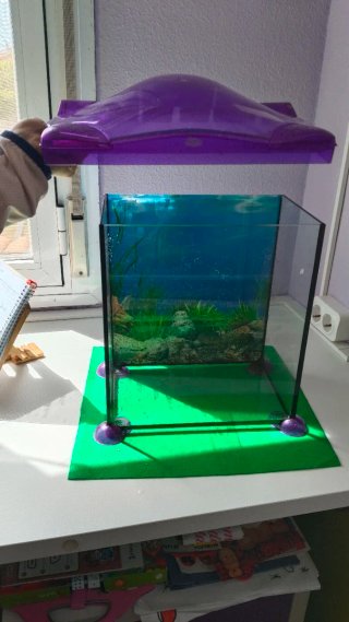 Acuario 15L Morado