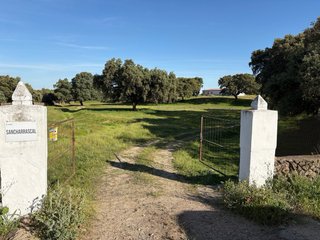Finca de dehesa