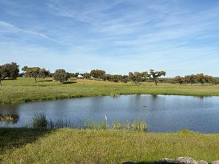 Finca de dehesa
