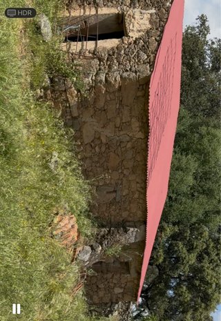 Finca de dehesa