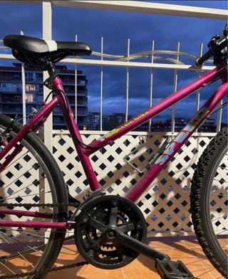 Bicicleta de montaña morada