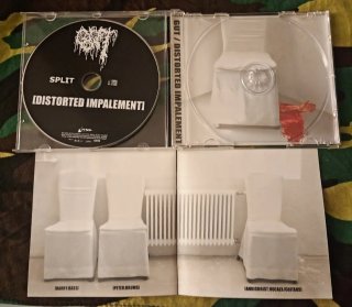 GUT / Distorted Impalament 2007  Split Cd álbum
