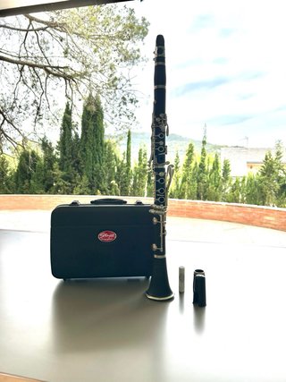 Clarinete Sagg con poco uso y estuche