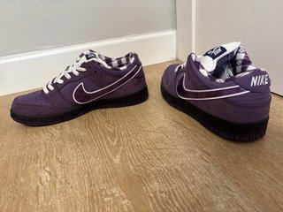 Nike SB Dunk Low Pro Purple Lobster