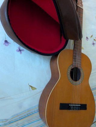 Guitarra Española Mariano Biu