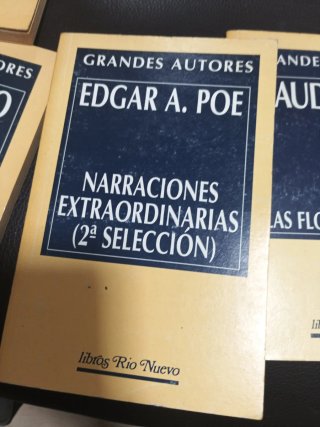 Lote de libros de Edgar Allan Poe y otro de baudel