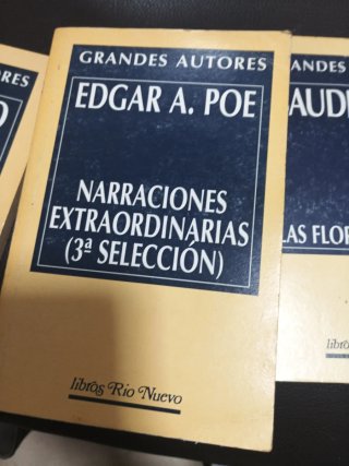 Lote de libros de Edgar Allan Poe y otro de baudel