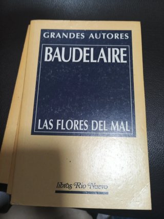 Lote de libros de Edgar Allan Poe y otro de baudel