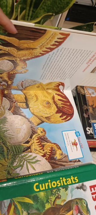 Lote libros  catalán: Dinosaures