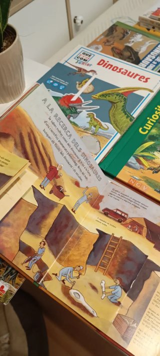 Lote libros  catalán: Dinosaures