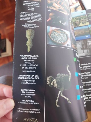 Revistas AVNIA.