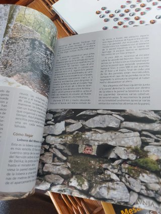 Revistas AVNIA.