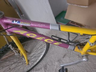 Bicicleta Morada y Amarilla