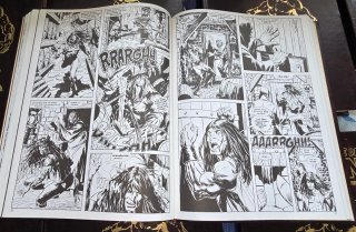 La espada salvaje de Conan el barbaro 16 tomos