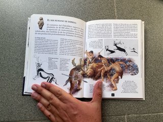 Lote de libros de historia para niños