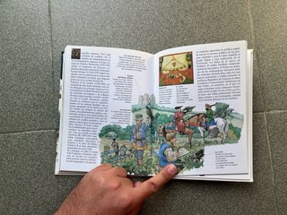 Lote de libros de historia para niños
