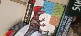 Lote libros dinosaurios
