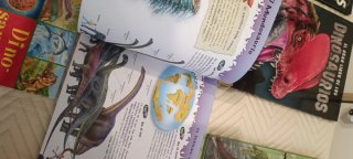 Lote libros dinosaurios