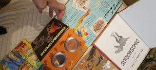 Lote libros dinosaurios
