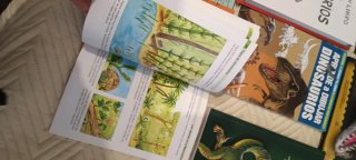 Lote libros dinosaurios