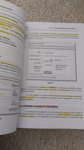 Google Adwords : diseña tu estrategia ganadora