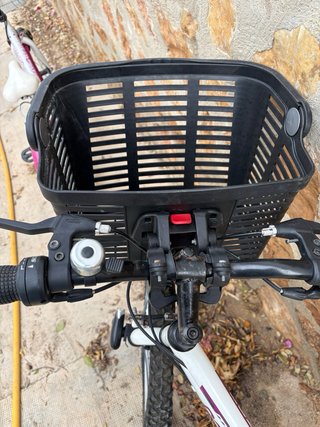 Bicicleta Boomerang Blanca con Cesta