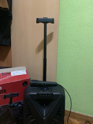 Altavoz Sing QS8133 con Micrófono