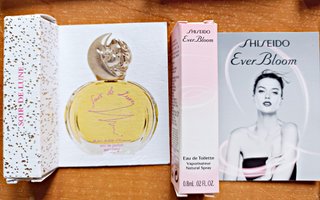 Lote 8 perfumes colección