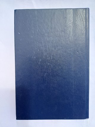 El libro del mormon