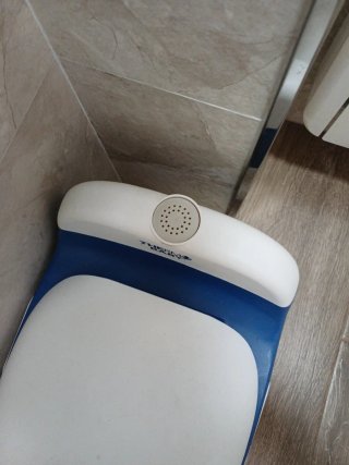 Orinal WC Bebé con Sonido