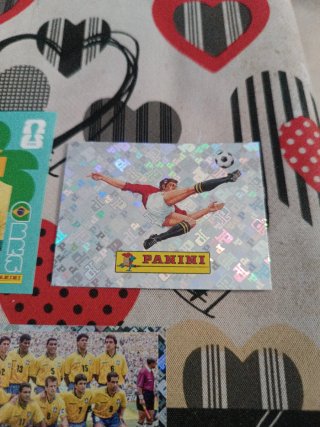 Cromos Panini FIFA World Cup