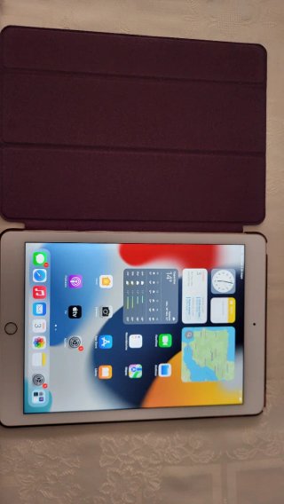 iPad Air 2 Plata con funda incl.