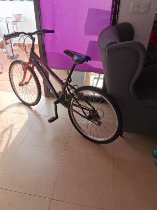 Bicicleta en buen estado