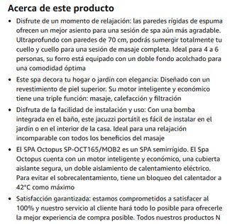 Jacuzzi exterior, piscina, spa NETSPA SP-OCT165/MO