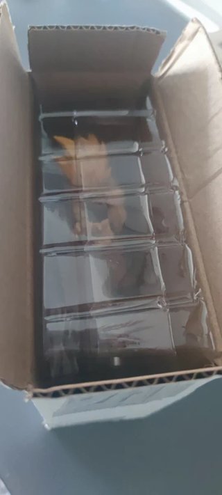 Figura Goku lampara PRECINTADO