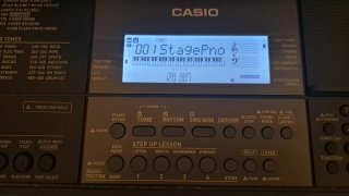 Teclado Casio CT-X800