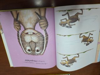 Pack de 6 llibres