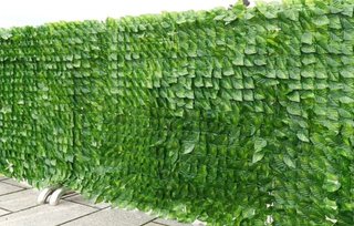 6pz Siepe Edera Finta 1x3M
