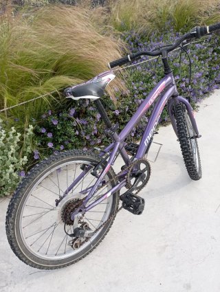 Bicicleta Megamo rueda de 20